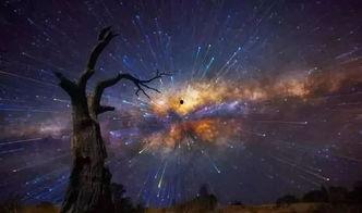 夜空吃瓜宴会后续