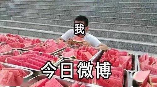 待寝吃瓜人