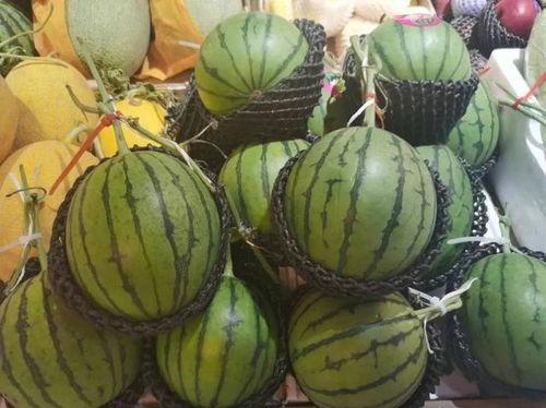 小腾吃瓜人,一场吃瓜者的成长之旅