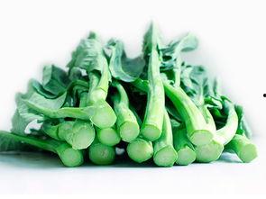 朵兰吃瓜,朵兰的瓜界探险记