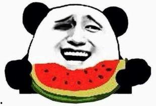 人间吃瓜群众视频,揭秘热门视频背后的故事与笑料