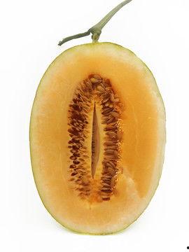 吃瓜香瓜傻瓜哈密瓜,从吃瓜香瓜到哈密瓜的趣味之旅