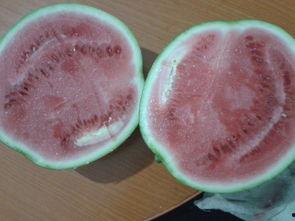 带你吃瓜山寨画,带你吃瓜山寨画背后的故事与影响