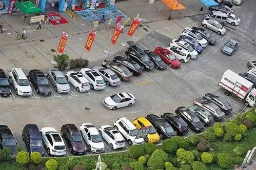 东莞吃瓜停车,街头一幕引发热议