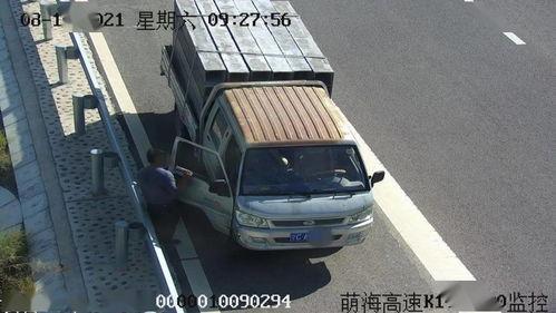 东莞吃瓜停车,街头一幕引发热议
