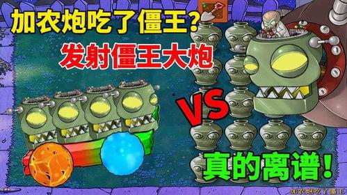 王大炮瓜哪里吃,从产地到餐桌的美食之旅