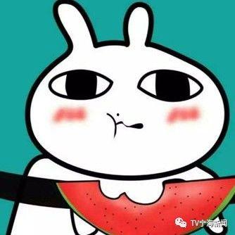 黄豆吃瓜表情包,趣味横生的网络文化现象