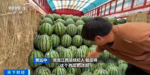 缅北吃瓜中心,一场场引人入胜的边境风云