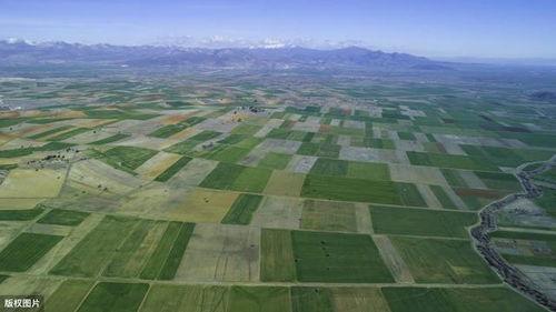 吃瓜情报处寿光,瓜乡风情，丰收乐章