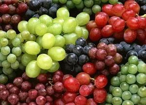 吃瓜吐葡萄,揭秘娱乐圈的甜蜜与苦涩