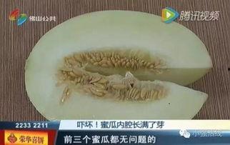 随机吃瓜16,揭秘娱乐圈背后的秘密与真相