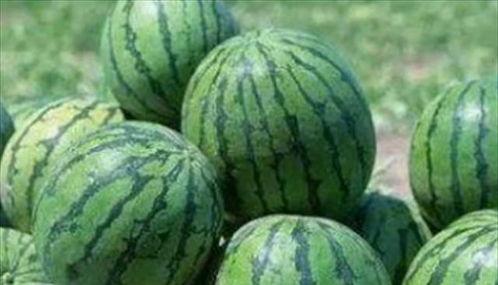 路不平吃瓜,探寻人生旅途中的美好瞬间