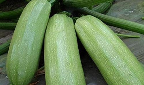 琉月吃瓜,揭秘娱乐圈背后的秘密与真相