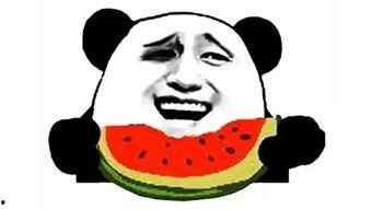 少年吃瓜,揭秘校园里的八卦风云