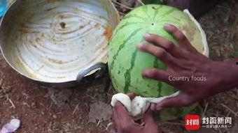 86岁塔下吃瓜,见证岁月静好时光