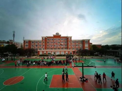 亳州学院今天吃瓜,校园新鲜事一网打尽