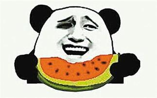 吃瓜是吃瓜子嘛,揭秘“吃瓜”一词的真正含义