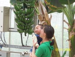 吃桐桐的瓜,一场味蕾的探险之旅