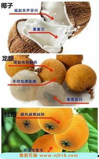 大白瓜怎么挑水果吃,大白瓜挑选与食用指南