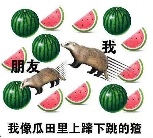人类就是吃瓜