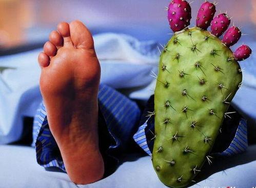 痛风可吃白瓜,白瓜助力健康饮食