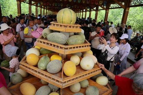 哈密哥吃瓜,揭秘娱乐圈幕后故事