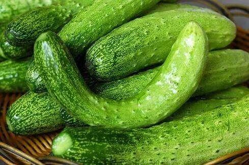 十一酱吃瓜水平,娱乐圈最新瓜料大揭秘