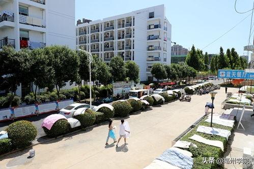 亳州学院今天吃瓜,校园新鲜事一网打尽