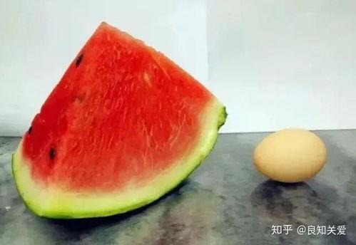 11.吃瓜,揭秘娱乐圈的幕后故事