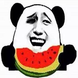 哪个吃瓜群,一场全民参与的狂欢盛宴