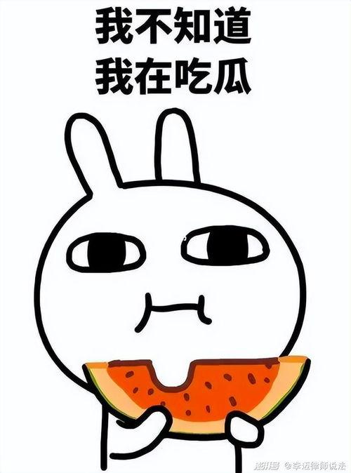 每日吃瓜必搜,揭秘娱乐圈最新热点事件