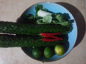 广西酸瓜怎么吃,酸爽开胃的本土风味探索