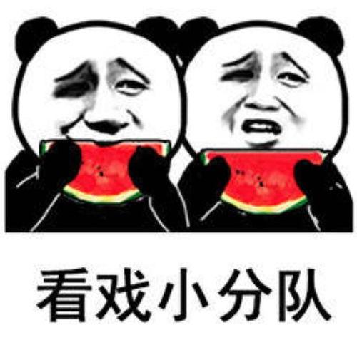 围坐吃瓜表情包,共享欢乐时光