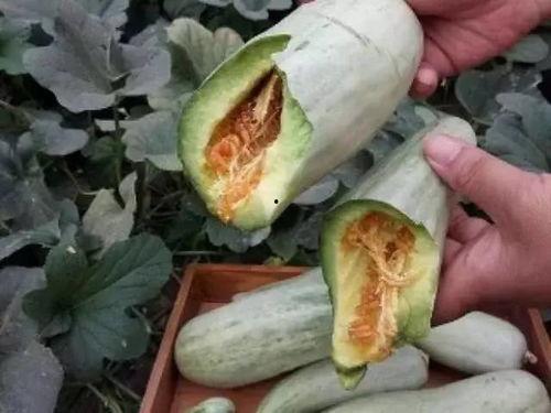 什么瓜要削皮吃,探寻美味与健康的完美结合