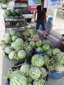 莱芜吃瓜事件,一场网络舆论的风暴与反思