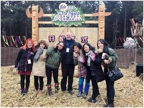 集体吃瓜后续,揭秘网络舆论背后的真相与反思