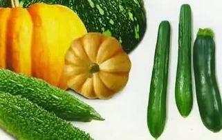 林敏吃瓜,揭秘娱乐圈幕后故事