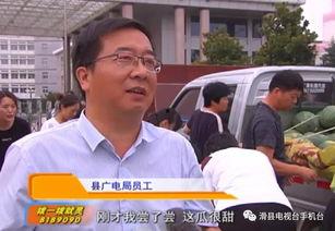 滑县吃瓜事件,一场引发社会关注的网络风波