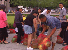 滑县吃瓜事件,一场引发社会关注的网络风波