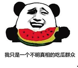 吃瓜小群众网络,揭秘网络热词“吃瓜小群众”背后的趣味与现象