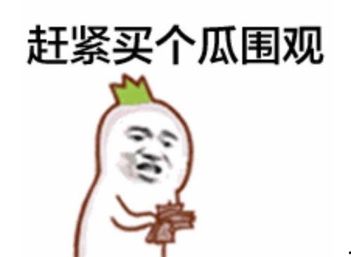 回家吃瓜了表情包,揭秘网络热梗背后的趣味与思考