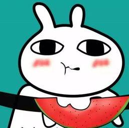 回家吃瓜了表情包,揭秘网络热梗背后的趣味与思考