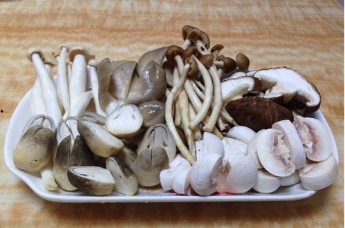 蘑菇吃瓜最新爆料