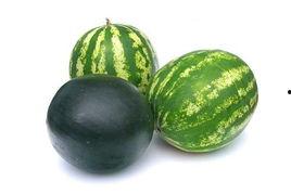 春城大观吃瓜事件,一场网络狂欢背后的真相揭秘