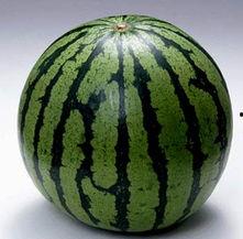 哪个吃瓜群,一场全民参与的狂欢盛宴