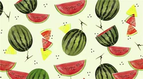 案例吃瓜,一场网络舆论的风暴与反思