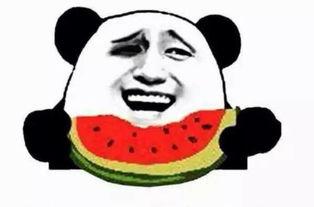 50个吃瓜群众,揭秘娱乐圈背后的真相