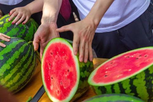 某校吃瓜事件,揭秘背后真相与反思”