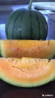 小彩虹吃瓜,揭秘娱乐圈幕后故事