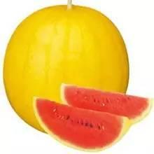 小彩虹吃瓜,揭秘娱乐圈幕后故事